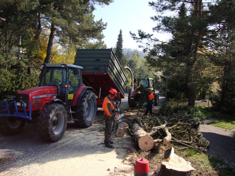 Haeckseldienst 08