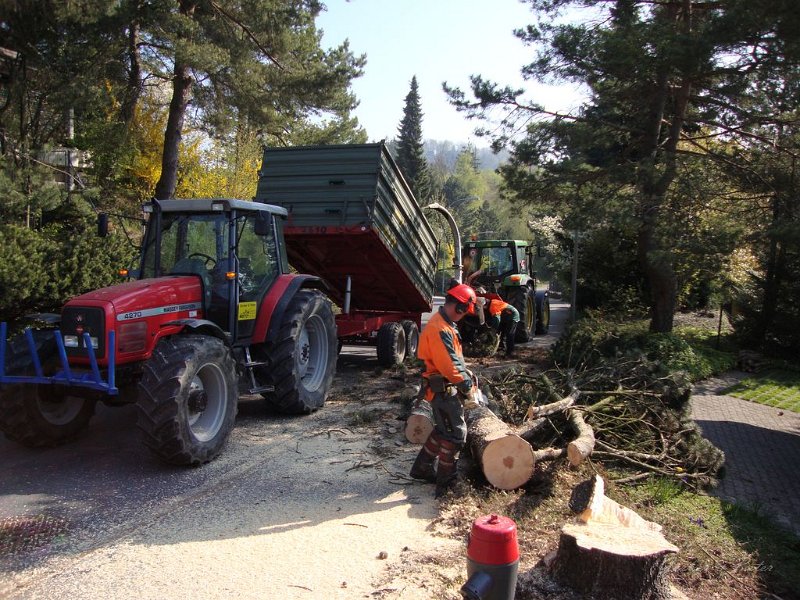 Haeckseldienst 09