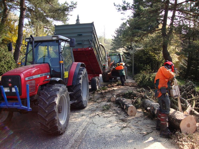 Haeckseldienst 12