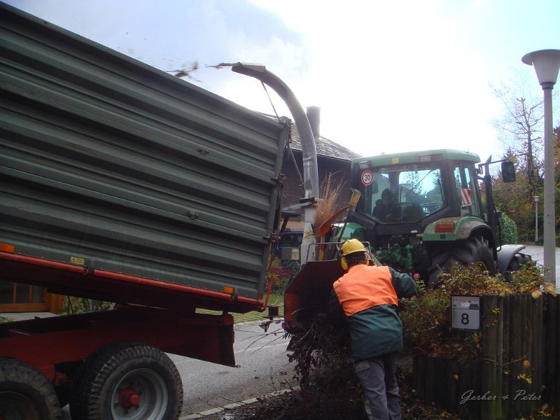Haeckseldienst 15
