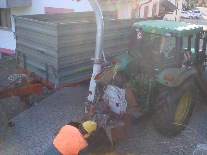Haeckseldienst 20