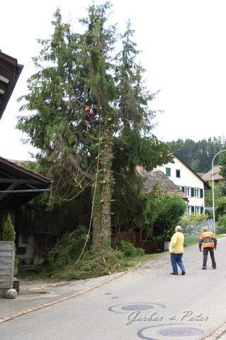 Haeckseldienst 30