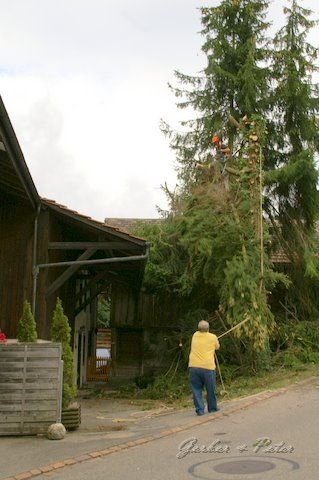 Haeckseldienst 32
