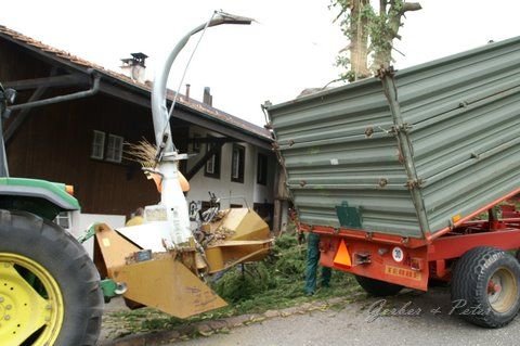 Haeckseldienst 35