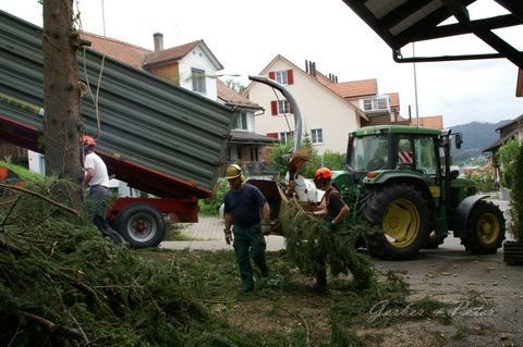 Haeckseldienst 40