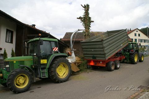 Haeckseldienst 43