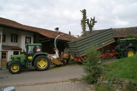 Haeckseldienst 44