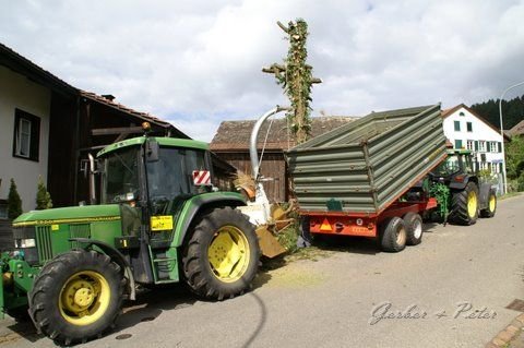 Haeckseldienst 46