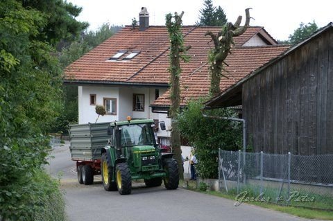 Haeckseldienst 52