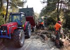 Haeckseldienst 12
