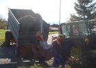 Haeckseldienst 22