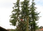 Haeckseldienst 31