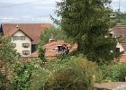 Haeckseldienst 33