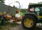Haeckseldienst 42