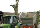 Haeckseldienst 50