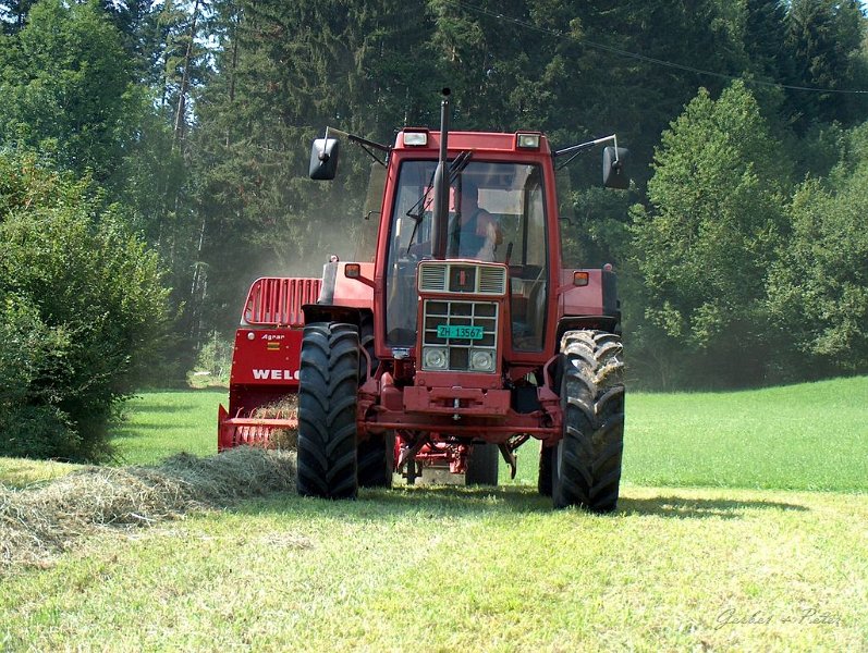 Kleinballen 31