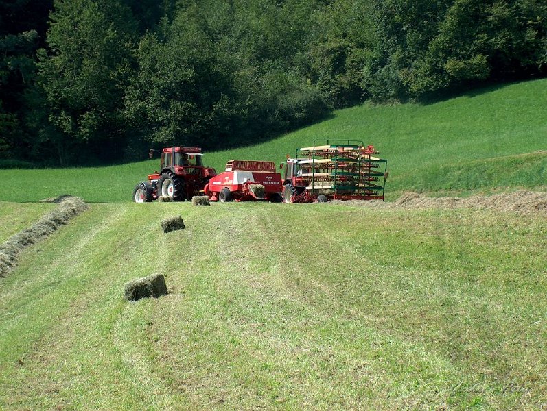 Kleinballen 32