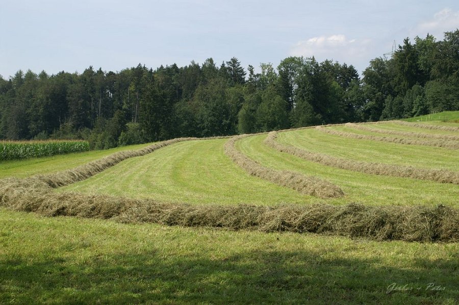 Kleinballen 34