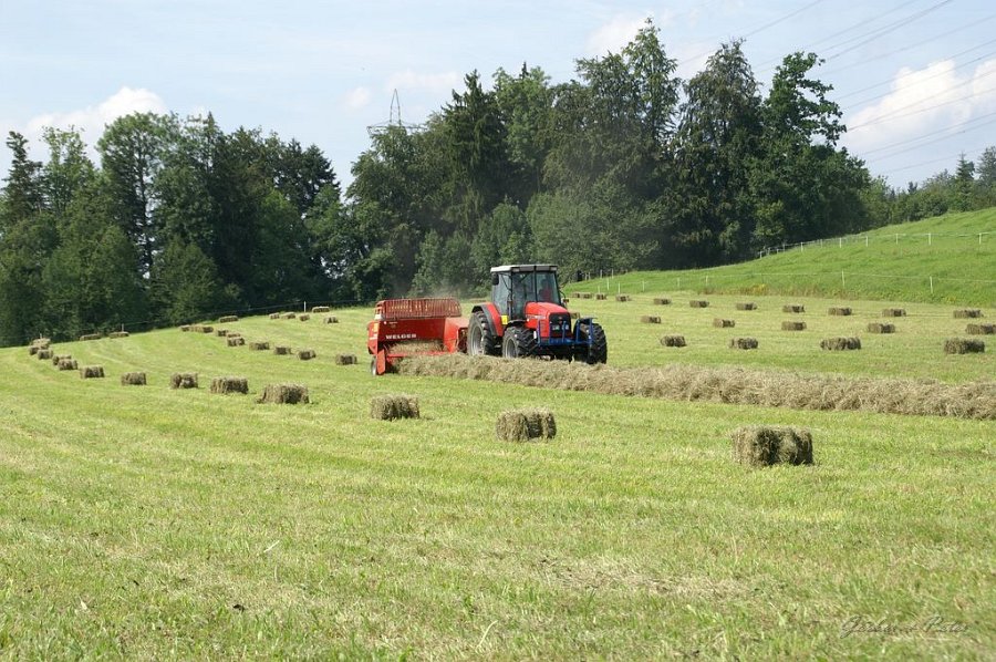 Kleinballen 49